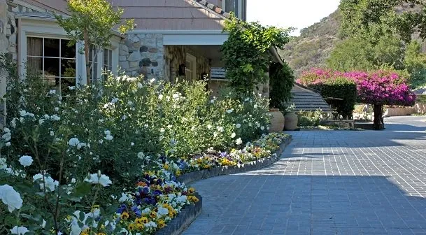 Reliable yard maintenance experts serving Los Angeles, CA - GV Property Care