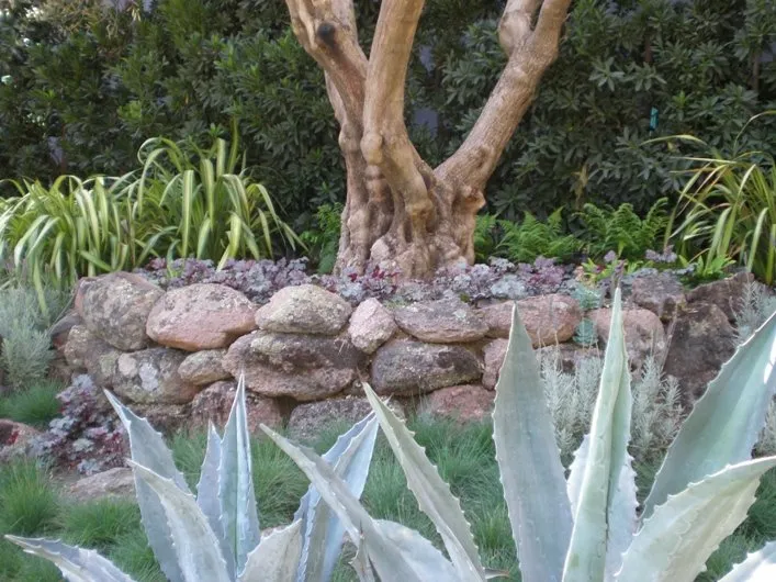 Trusted yard maintenance experts serving Los Angeles, CA - GV Property Care