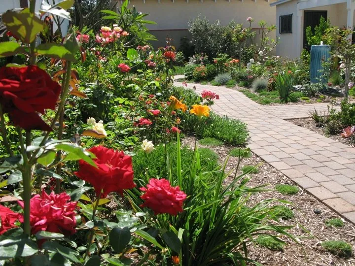 Top-rated outdoor landscaping in Los Angeles, CA - GV Property Care
