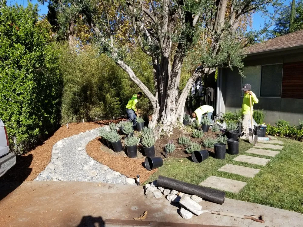 Trusted yard cleanup service for homes in Los Angeles, CA by GV Property Care