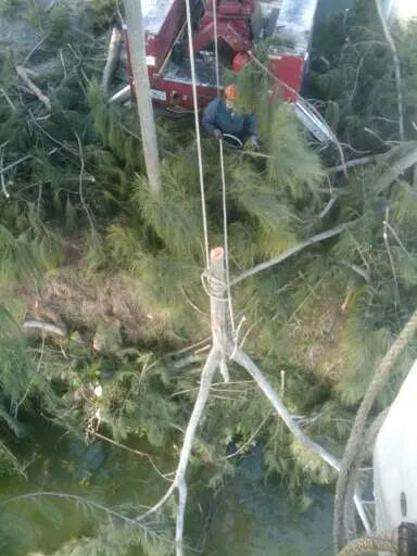 Affordable lawn mowing service for residential properties across Pompano Beach, FL - G&V Shalom Tree Care