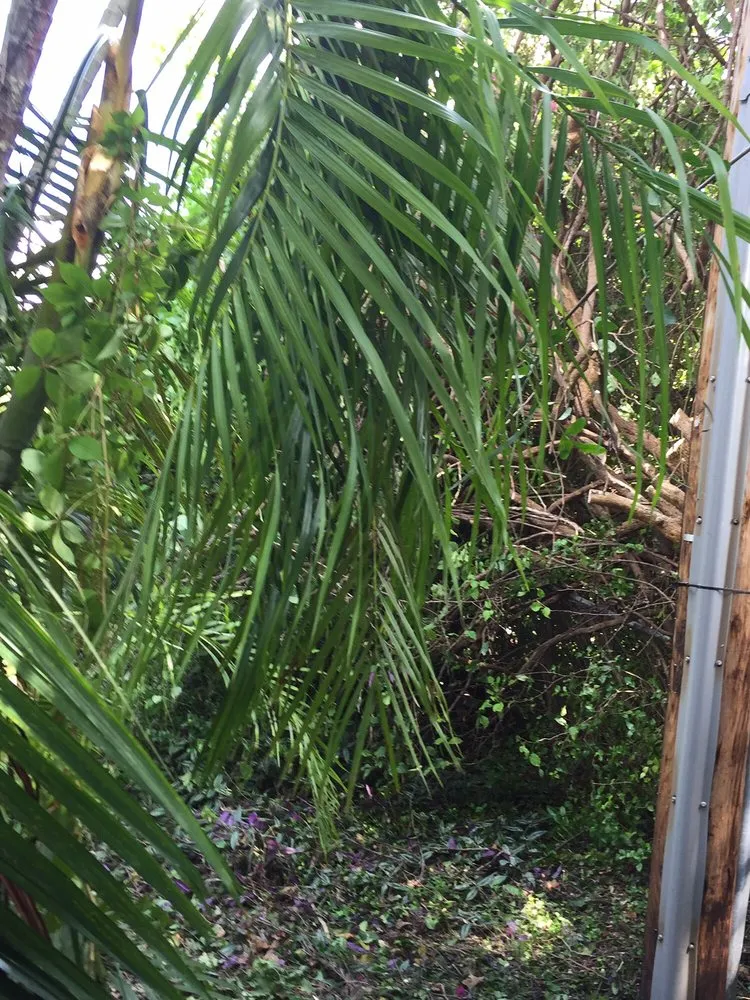 Trusted garden landscaping experts serving Pompano Beach, FL - G&V Shalom Tree Care
