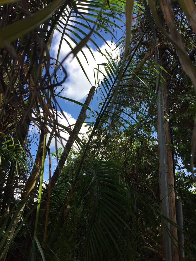 Trusted lawn mowing service for homes across Pompano Beach, FL - G&V Shalom Tree Care