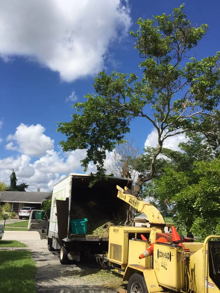 Custom landscaping services experts serving Pompano Beach, FL - G&V Shalom Tree Care