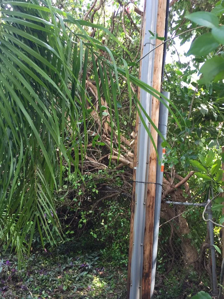 Local yard maintenance with custom design in Pompano Beach, FL by G&V Shalom Tree Care