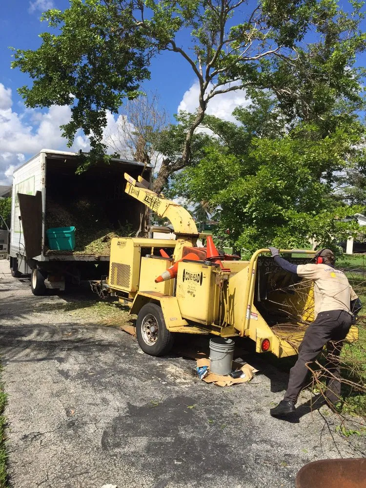 Expert garden landscaping in Pompano Beach, FL by G&V Shalom Tree Care