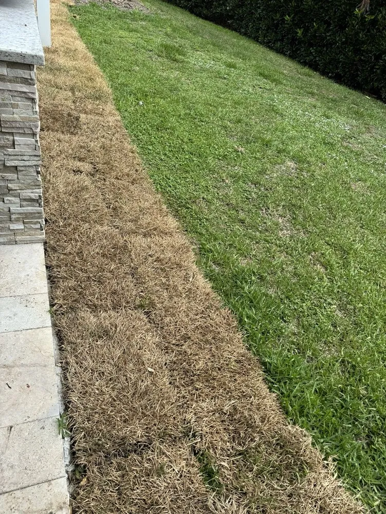 Custom landscape design for year-round maintenance in Loxahatchee, FL by GVI Sod