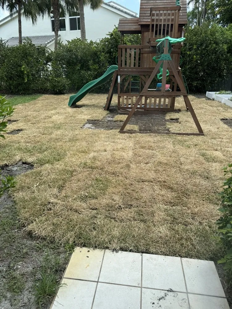 Reliable landscape installation in Loxahatchee, FL by GVI Sod