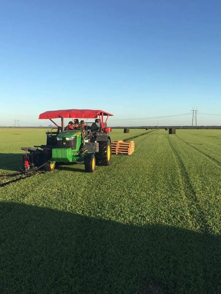 Professional residential landscaping with custom design in Loxahatchee, FL by GVI Sod