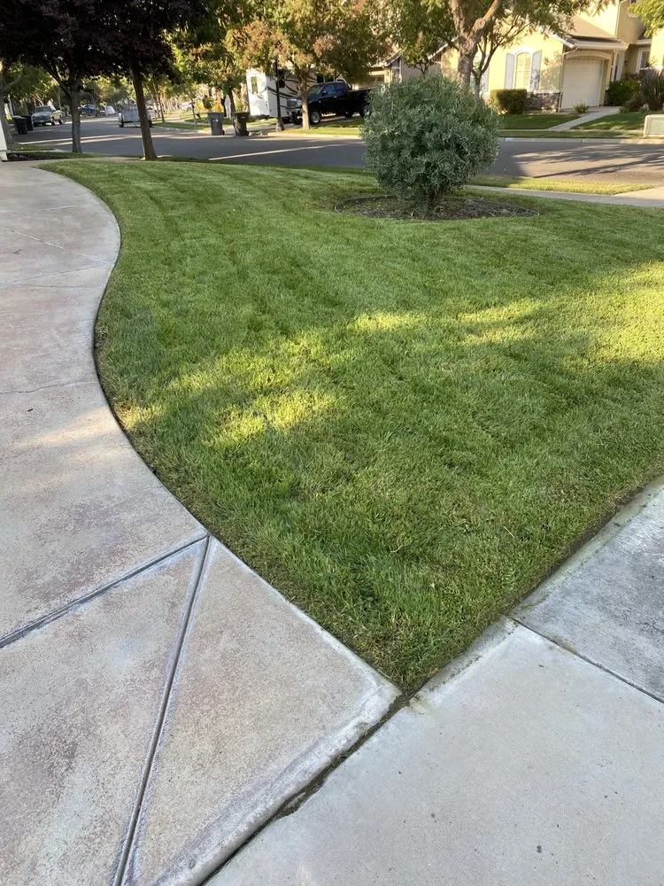 Reliable lawn care service near you across Riverbank, CA - GVO Landscape
