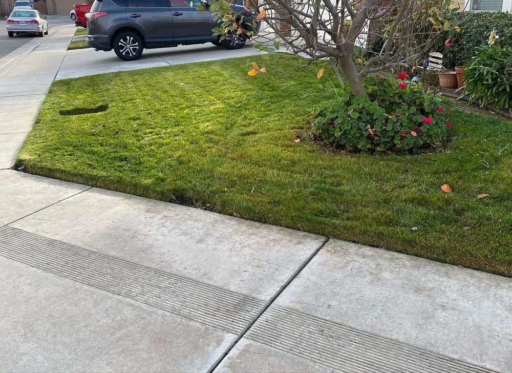 Professional lawn care service experts serving Riverbank, CA - GVO Landscape