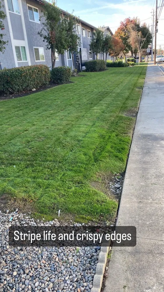 Local landscape design with custom design in Riverbank, CA by GVO Landscape