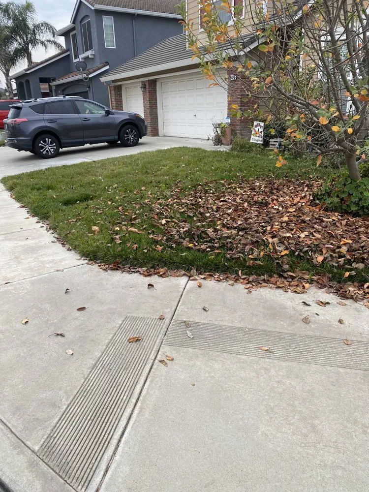 Expert garden landscaping in Riverbank, CA - GVO Landscape