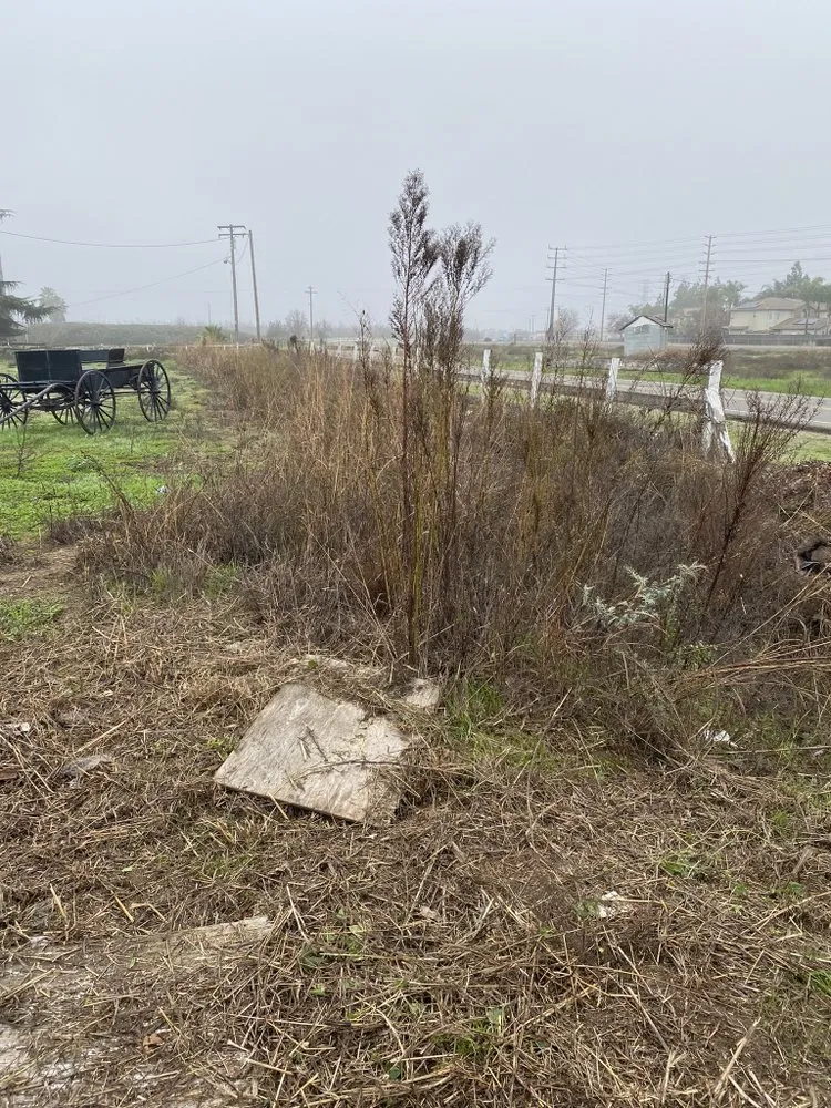 Affordable lawn mowing service for outdoor upgrades in Riverbank, CA by GVO Landscape