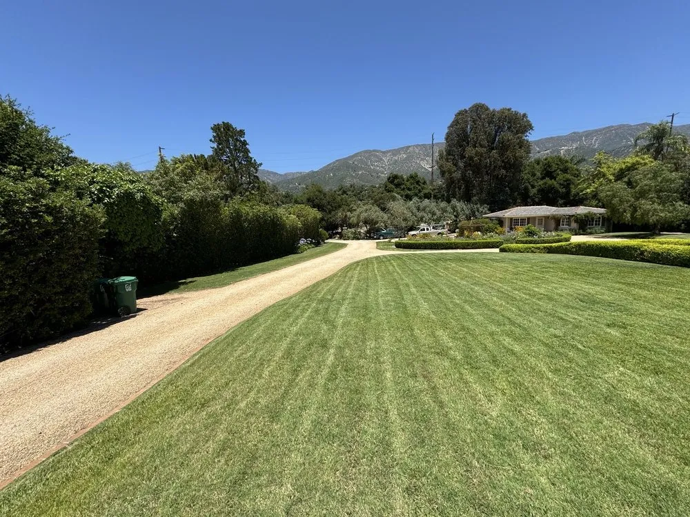 Trusted landscaping services experts serving Santa Barbara, CA - GVR Gardens