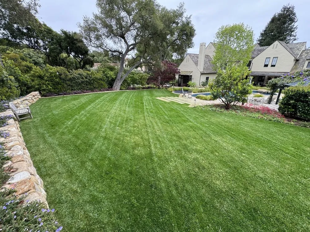 Affordable landscape design near you across Santa Barbara, CA - GVR Gardens