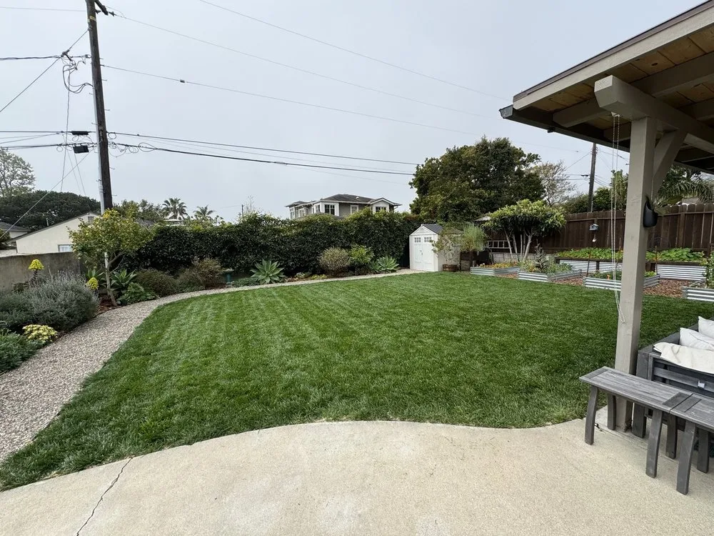 Trusted lawn care service for beautiful yards in Santa Barbara, CA by GVR Gardens