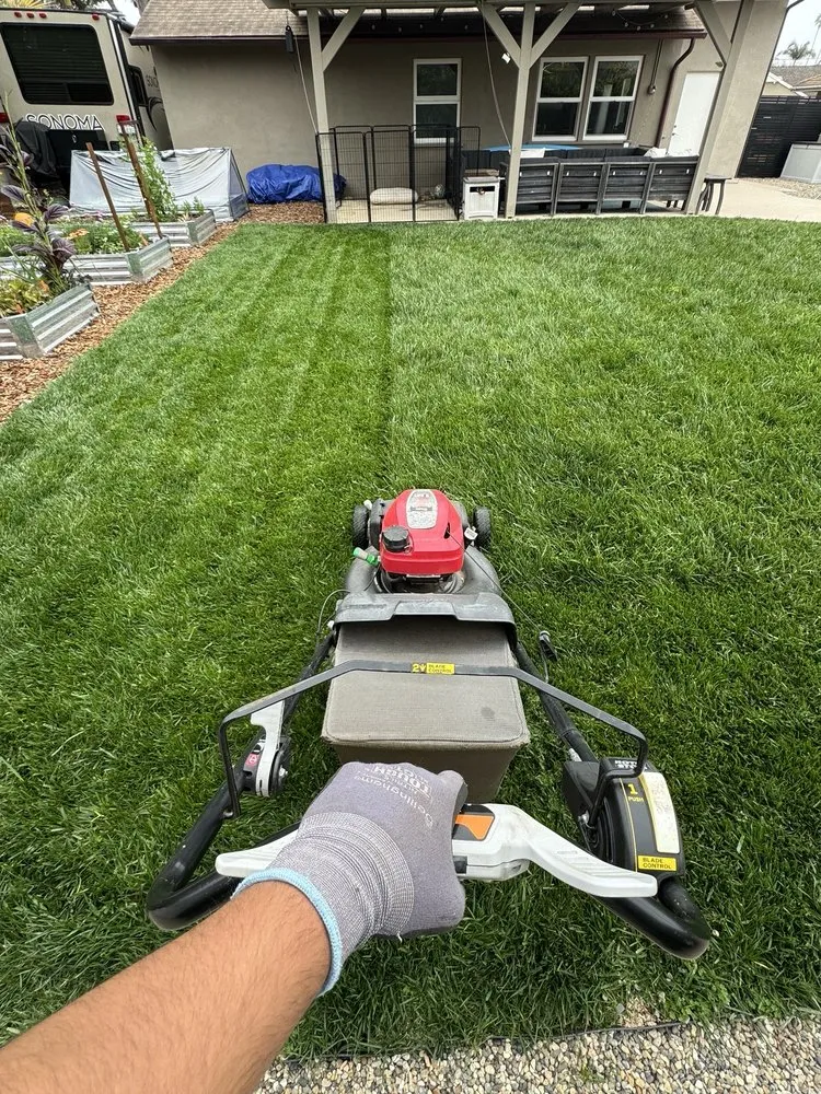 Professional landscape design with custom design across Santa Barbara, CA - GVR Gardens