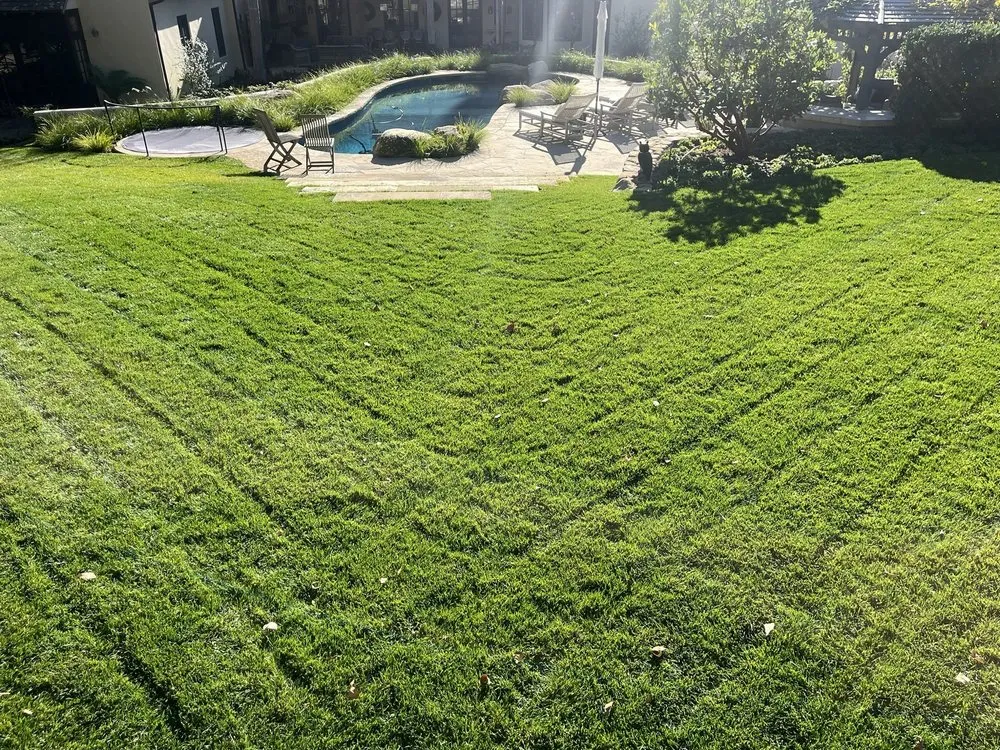 Trusted yard cleanup service for year-round maintenance in Santa Barbara, CA by GVR Gardens