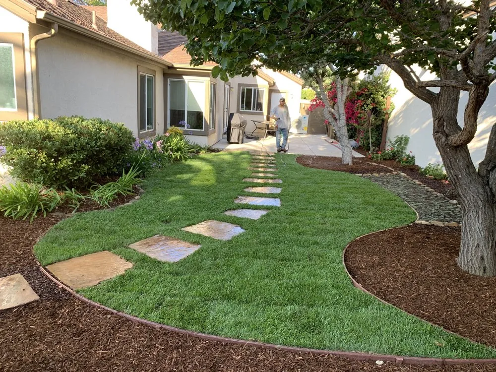 Local landscaping services for year-round maintenance in Santa Barbara, CA by GVR Gardens