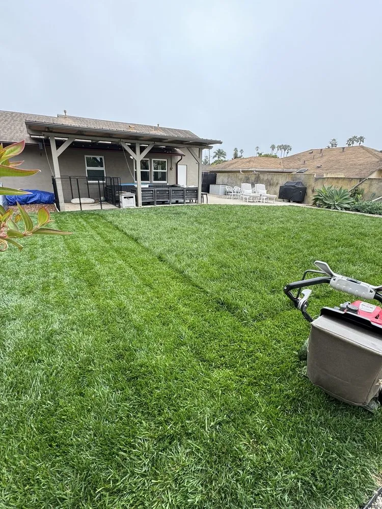 Expert landscape installation in Santa Barbara, CA by GVR Gardens
