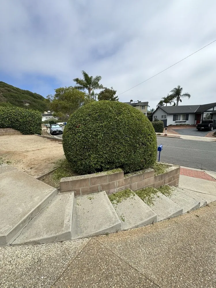 Reliable landscaping services for homes in Santa Barbara, CA by GVR Gardens