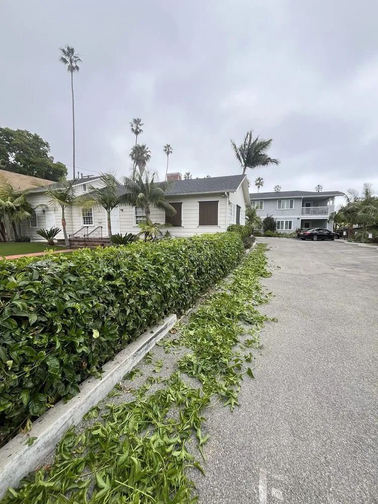 Custom lawn mowing service in Santa Barbara, CA - GVR Gardens