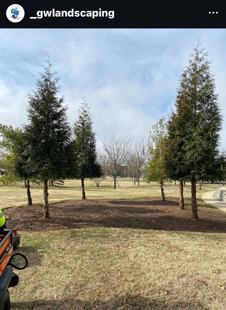 Local lawn care service experts serving Saint Charles, MD - G&W Cleaning and Landscaping