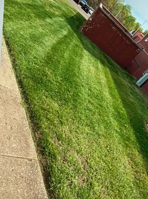 G&W Cleaning and Landscaping