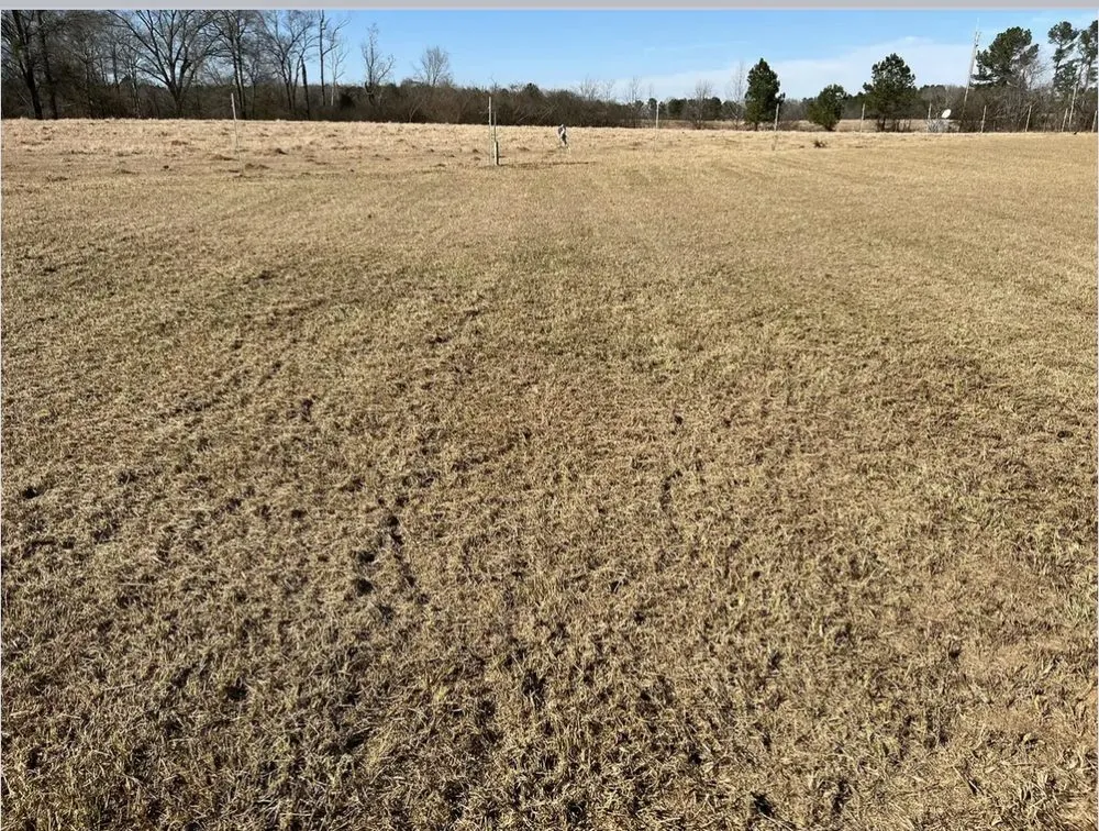 Custom landscaping services experts serving Pine Mountain, GA - GW Landscapes