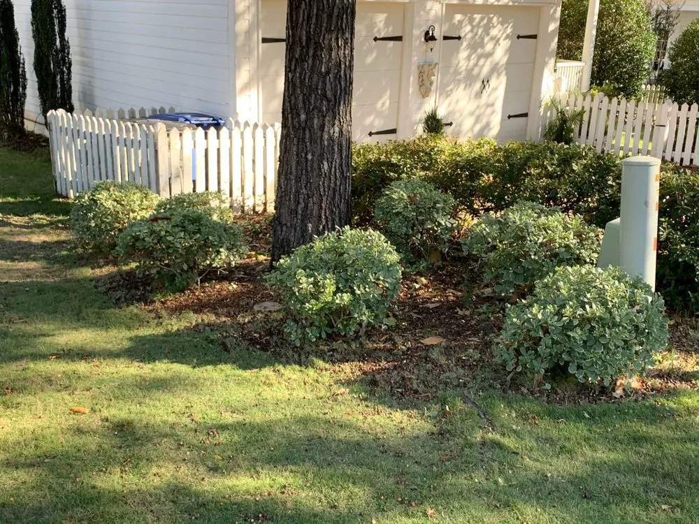 Professional garden landscaping in Pine Mountain, GA - GW Landscapes