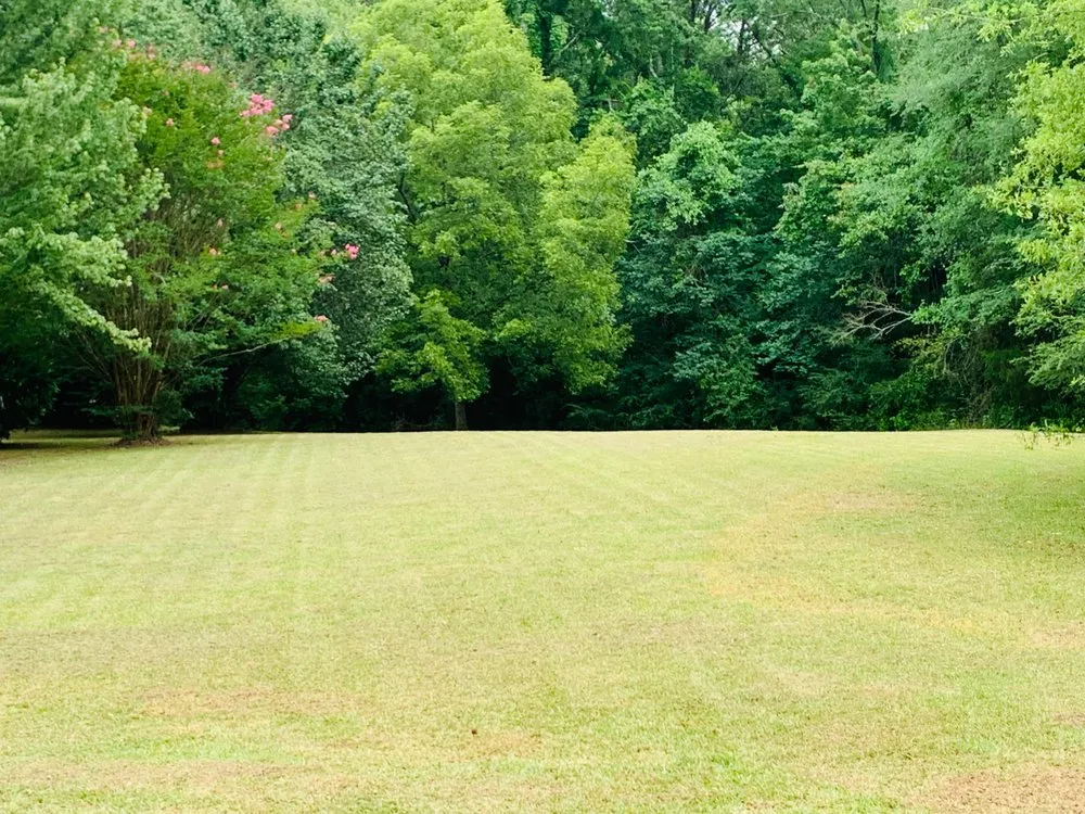 Reliable landscape installation for residential properties across Pine Mountain, GA - GW Landscapes