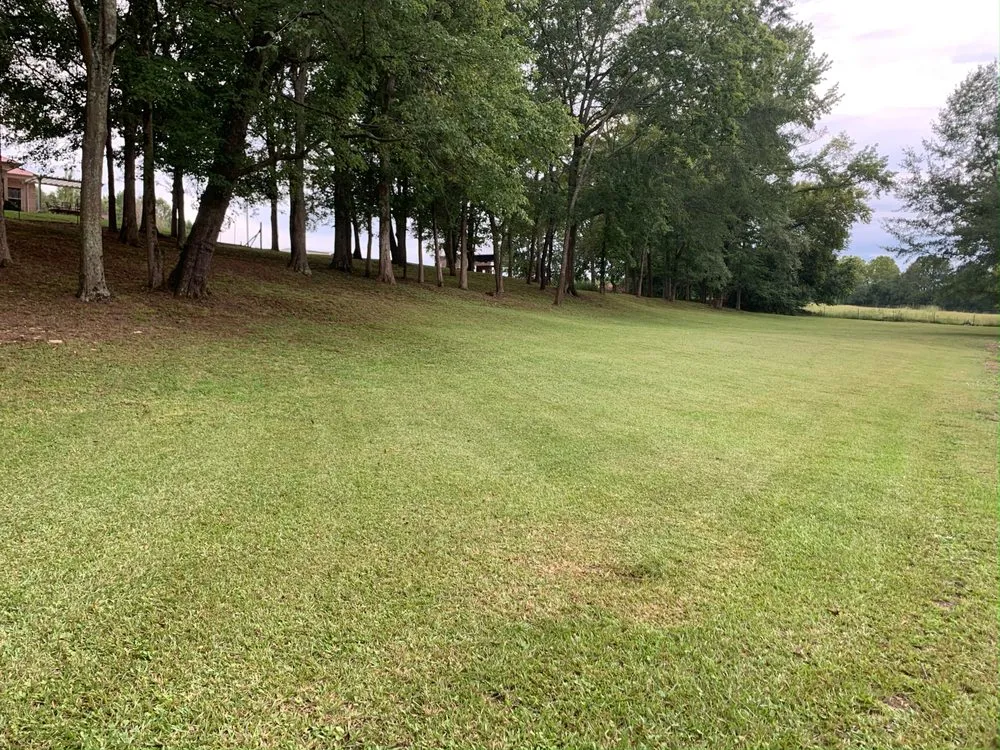 Expert lawn care service for beautiful yards across Pine Mountain, GA - GW Landscapes