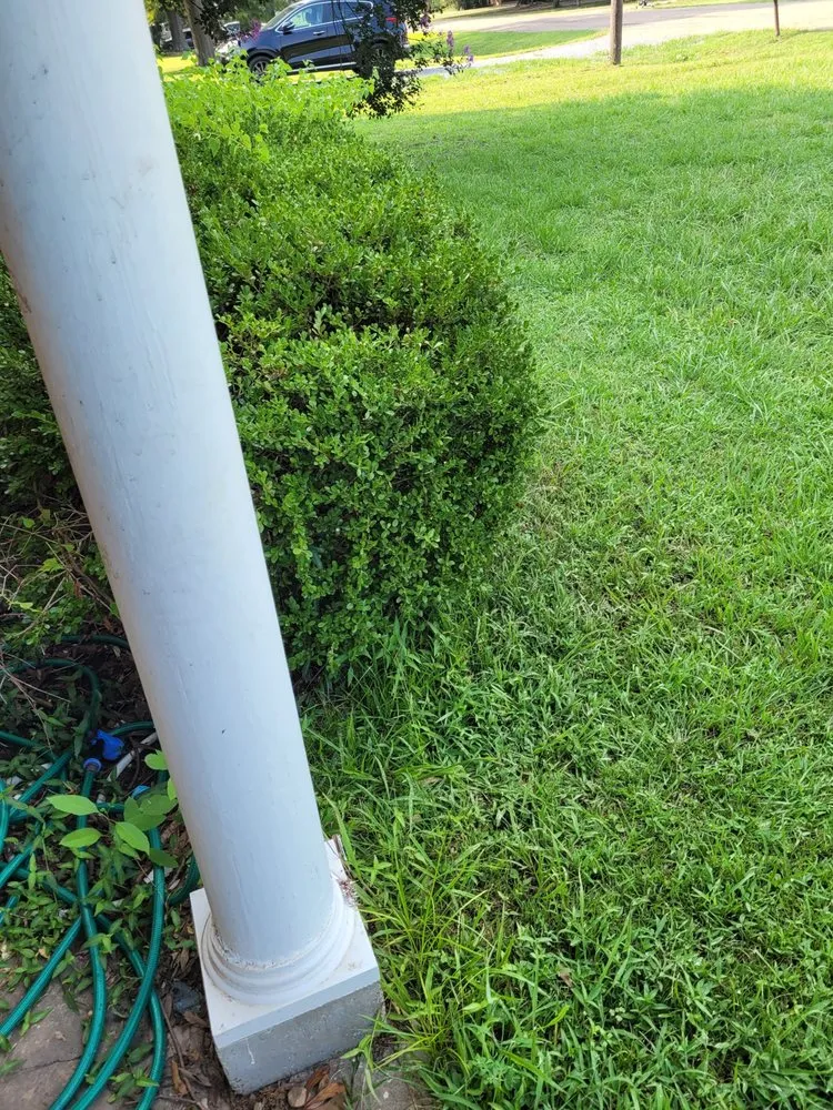 Custom yard maintenance near you in Cleveland, MS by GW Lawn Care Services