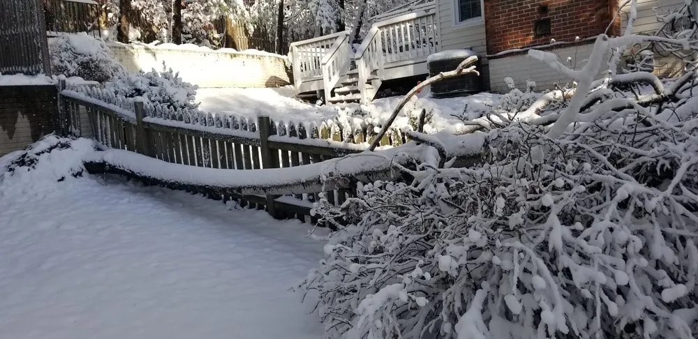 Trusted landscape installation in Falls Church, VA - GW Tree Services