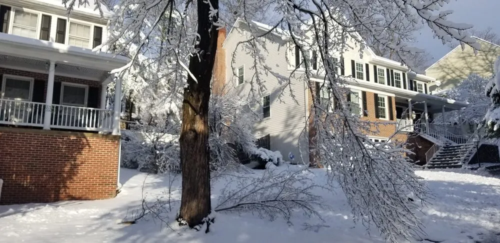 Reliable landscaping services in Falls Church, VA - GW Tree Services