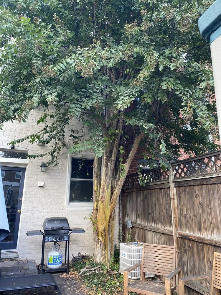 Custom landscaping services for year-round maintenance in Falls Church, VA by GW Tree Services