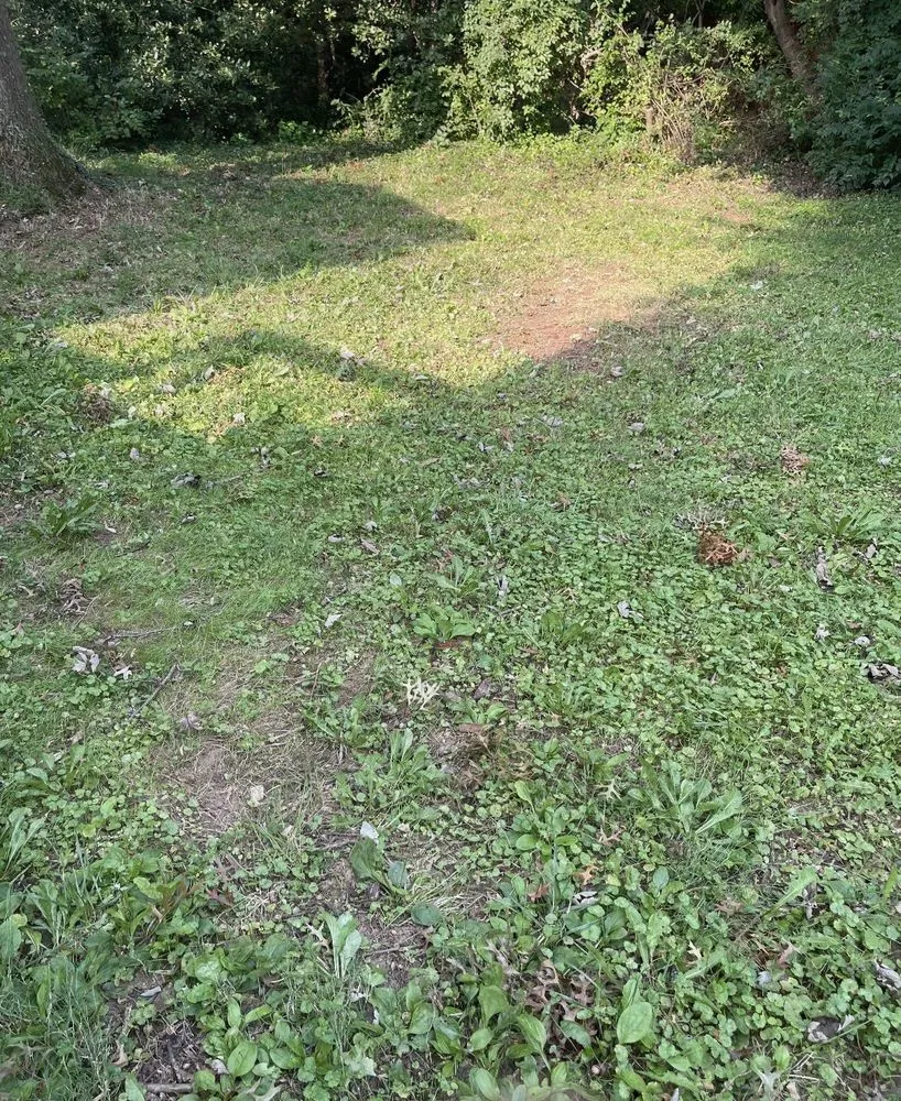 Custom landscape installation for residential properties across Falls Church, VA - GW Tree Services