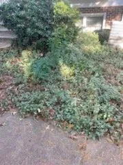 Top-rated garden landscaping experts serving Falls Church, VA - GW Tree Services