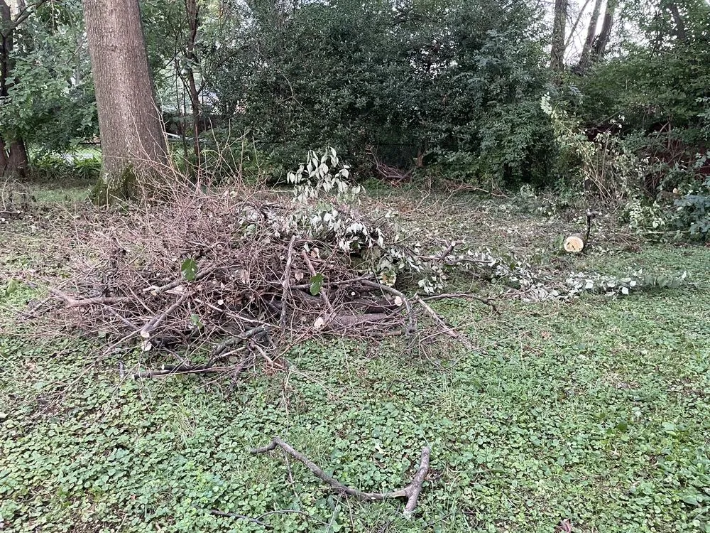 Professional garden landscaping for outdoor upgrades in Falls Church, VA by GW Tree Services