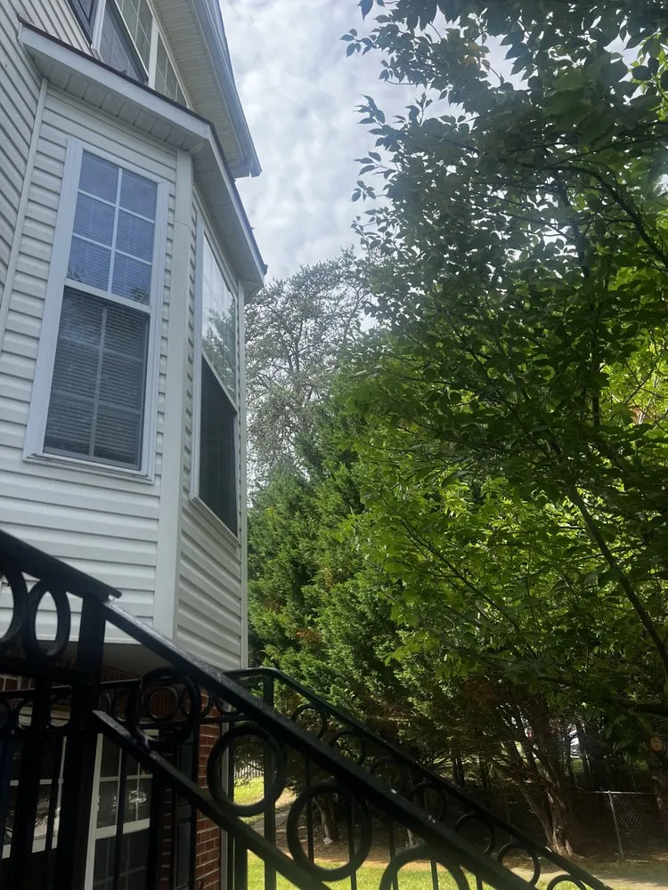 Reliable landscape design in Falls Church, VA - GW Tree Services