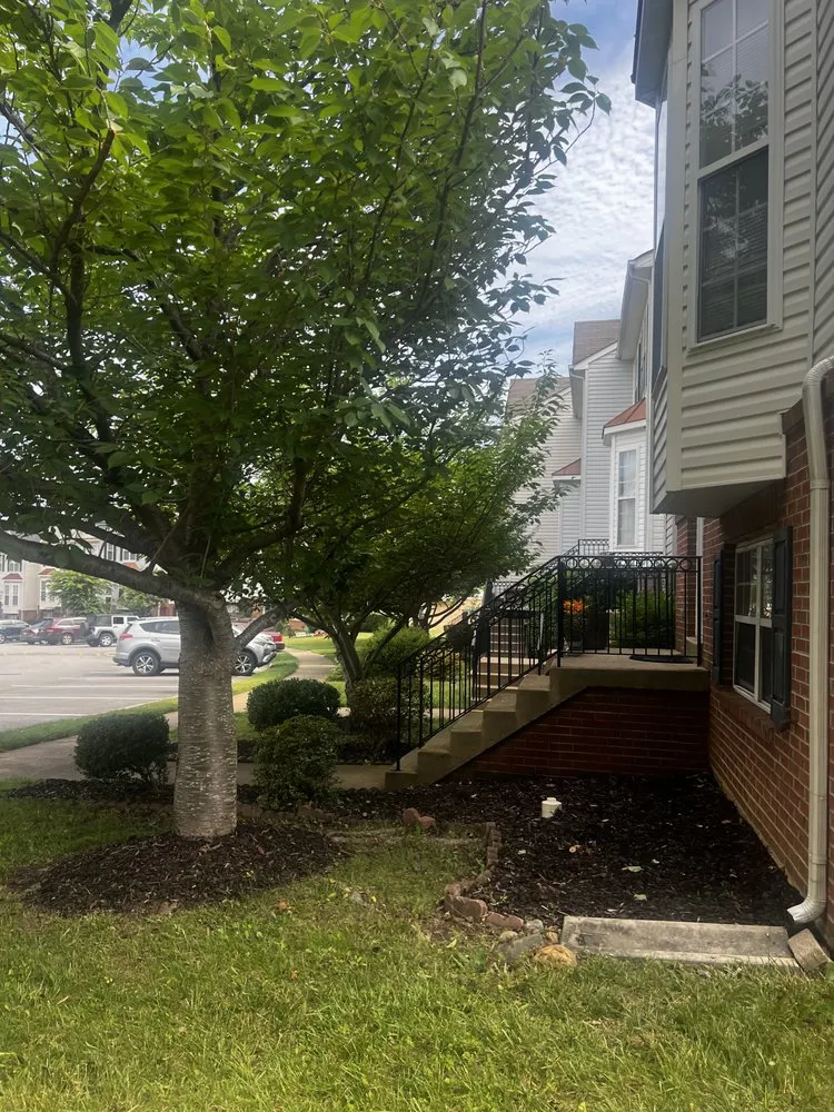 Trusted lawn care service experts serving Falls Church, VA - GW Tree Services