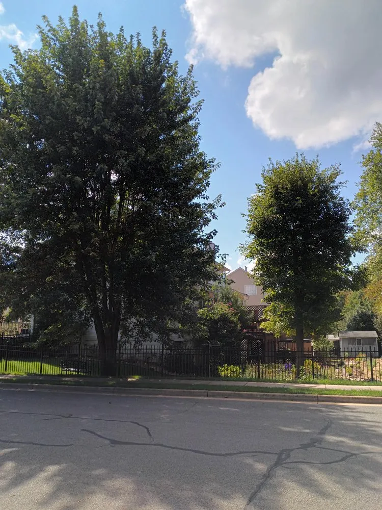 Trusted lawn mowing service near you across Falls Church, VA - GW Tree Services