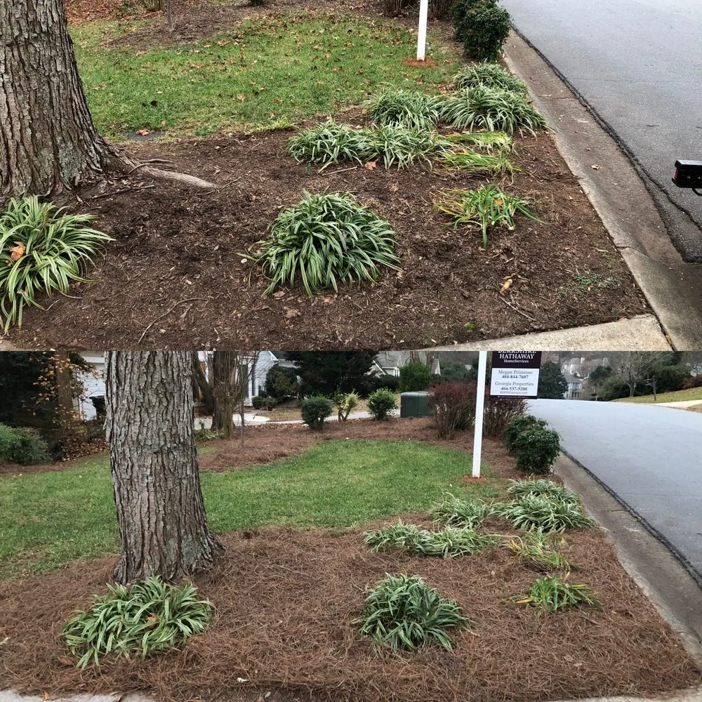 Affordable lawn care service in Dacula, GA by Gwinnett Lawns