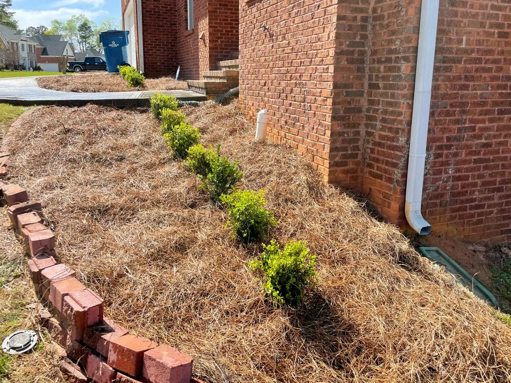 Expert landscape installation near you across Dacula, GA - Gwinnett Lawns