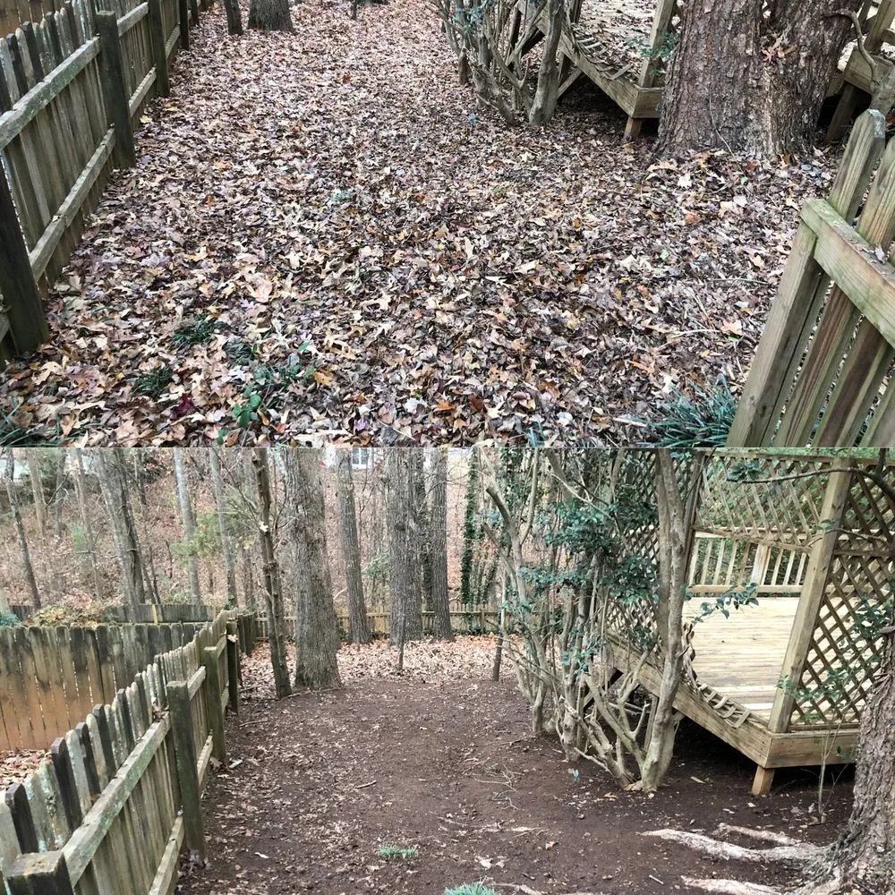 Top-rated landscape installation for residential properties in Dacula, GA by Gwinnett Lawns