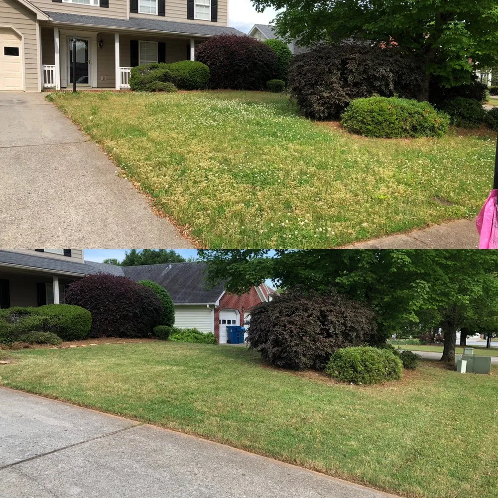 Local residential landscaping with custom design in Dacula, GA by Gwinnett Lawns