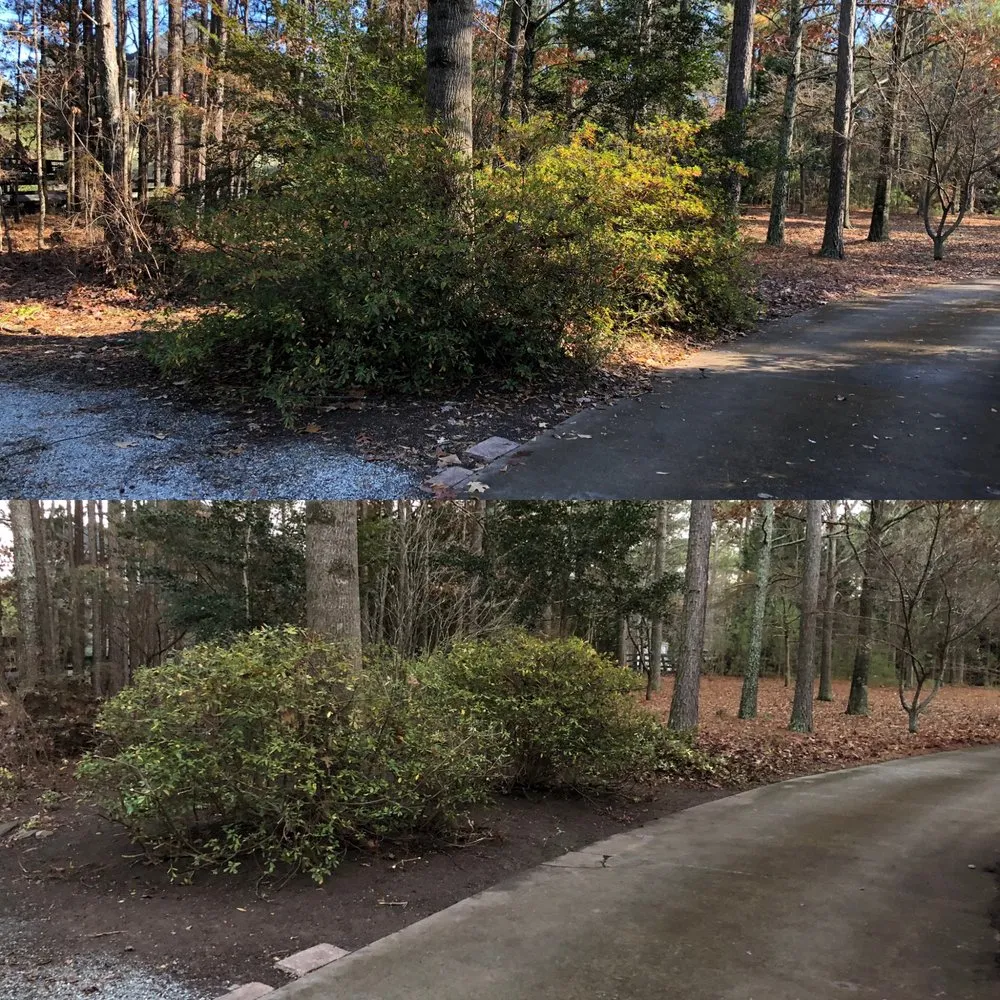 Reliable yard cleanup service in Dacula, GA - Gwinnett Lawns