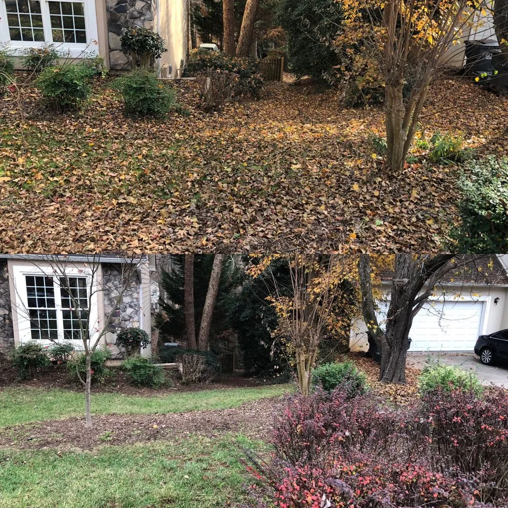 Trusted residential landscaping in Dacula, GA - Gwinnett Lawns