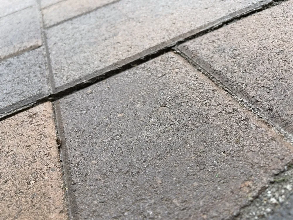 Local lawn mowing service in Van Nuys, CA - GWP Builders